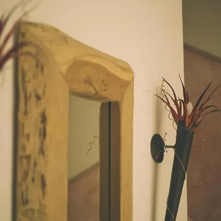 Villa-senta-apartment-12 Apartment *